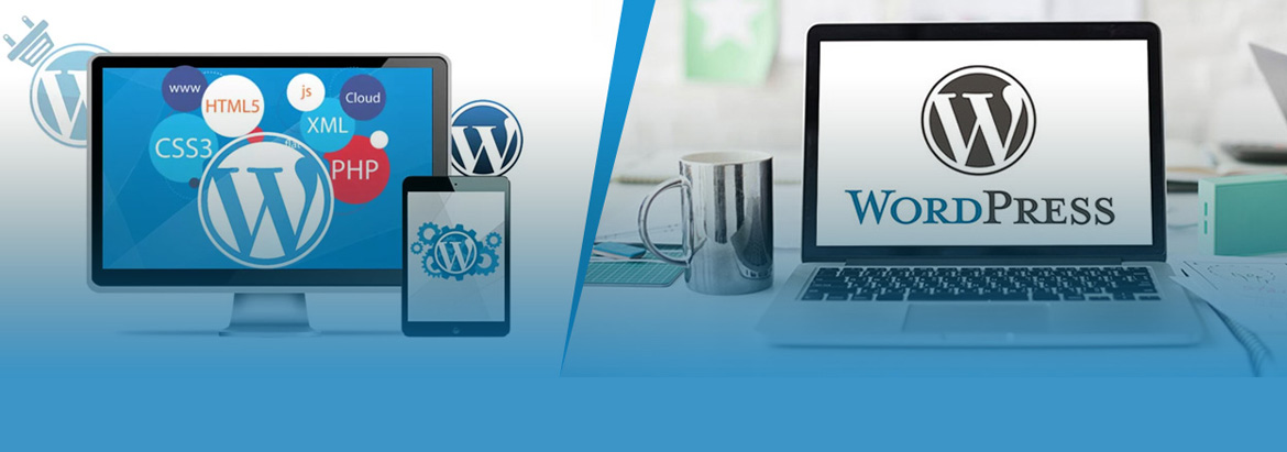 Best WordPress Development Company in Delhi